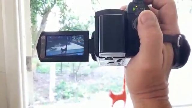 Handycam HDR-SR10 Sony смотреть онлайн