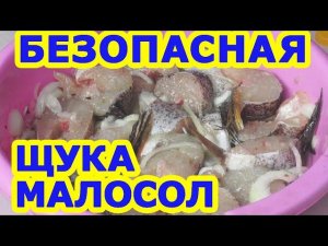 Рецепт малосольной обеззараженной щуки. Сугудай из щуки. Малосольная рыба
