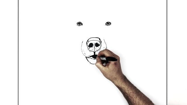 How To Draw A Polar Bear | Step By Step смотреть онлайн