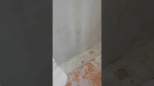 Как шпаклевать стены. «На сдир».