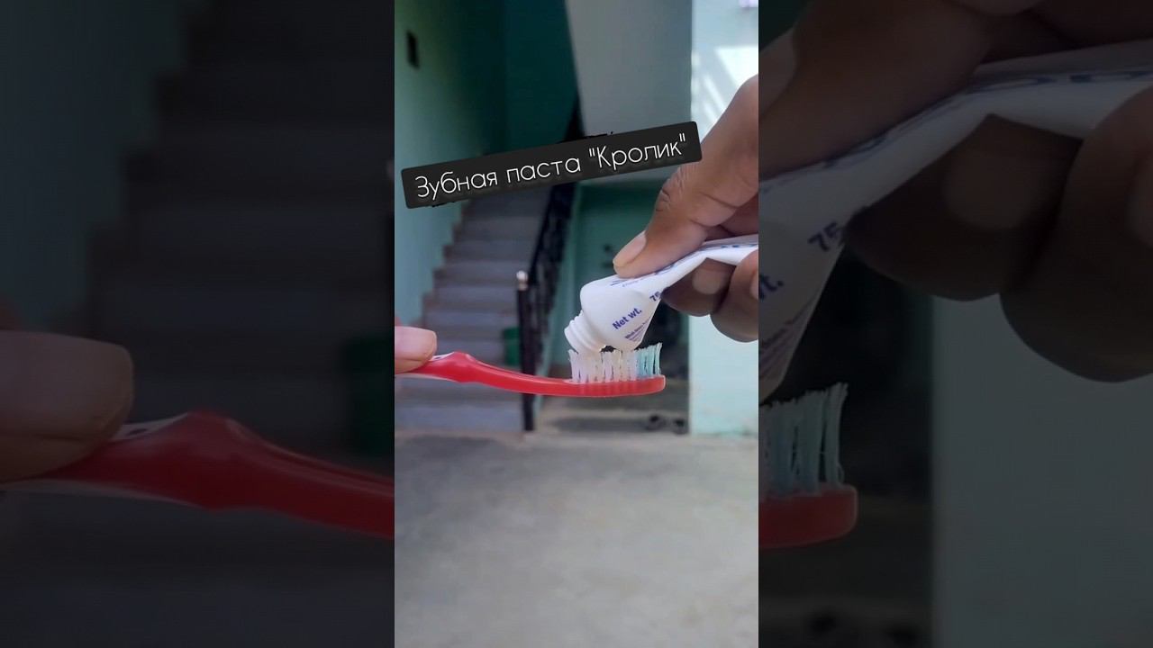 Зубная паста Кролик смотреть онлайн