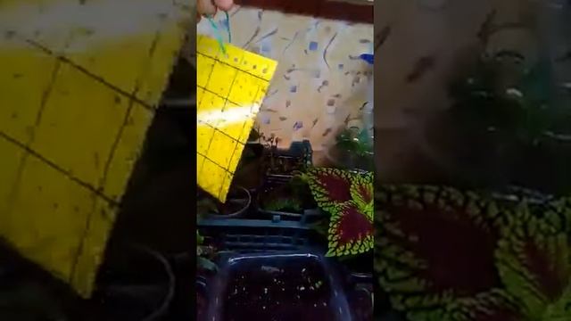 Строительная Стратегия