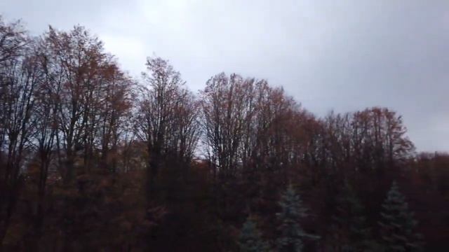 Walking in KALININGRAD / Russia ??- 4K 60fps (UHD)2022 смотреть онлайн