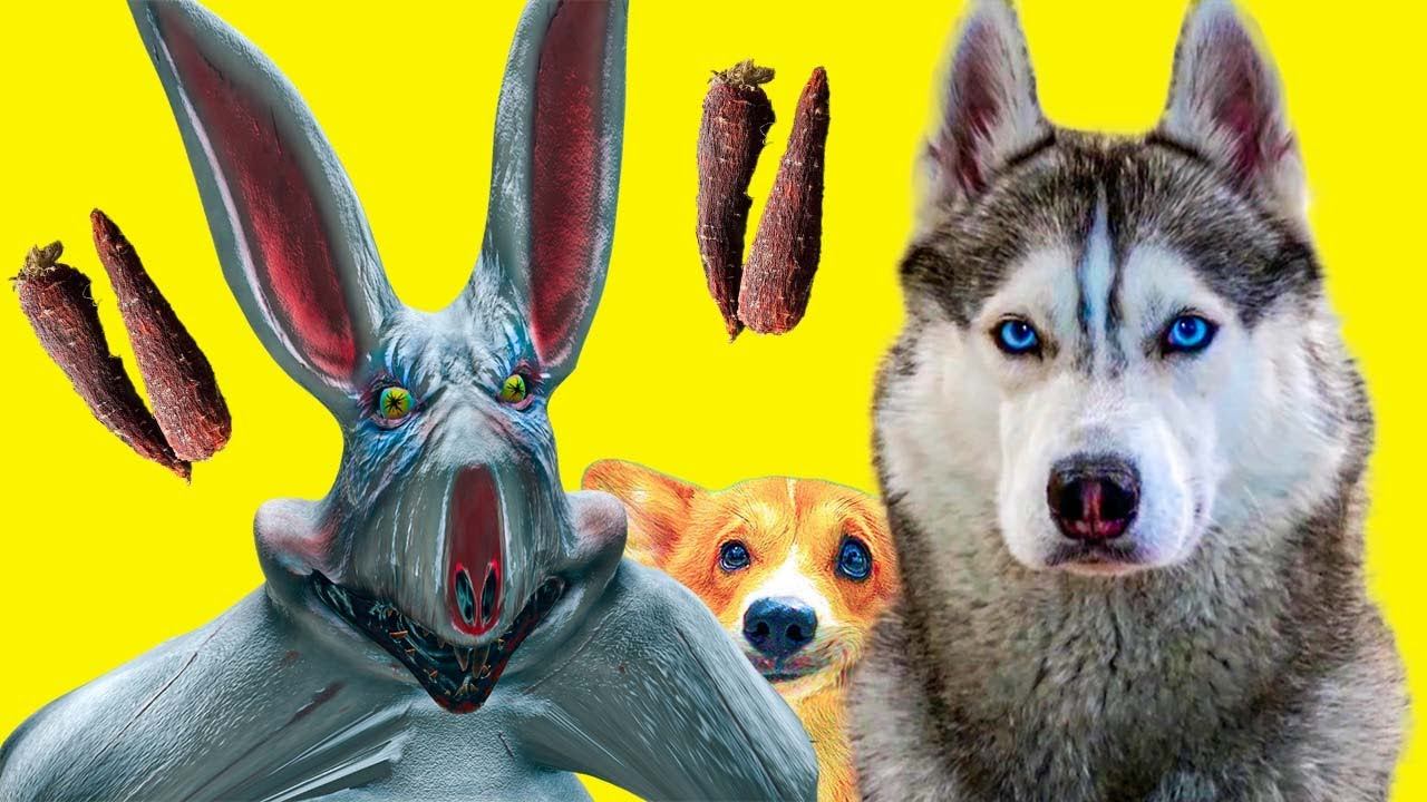 СПАСАЕМ КОРЖИКА от ДЕМОНИЧЕСКОГО КРОЛИКА!! Хаски Бандит Говорящая собака смотреть онлайн