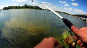 ЛОВЛЯ БОЛЬШОГО КАРАСЯ НА МАКУШАТНИК | ЛУЧШИЙ МОНТАЖ МАКУШАТНИКА ДЛЯ КАРПА,КАРАСЯ,САЗАНА