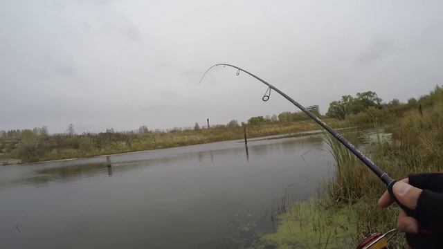 Рыбалка Спиннинг Берег. ЛУЧШАЯ ПРИМАНКА НА ОКУНЯ! Выручает даже в плохой клёв смотреть онлайн