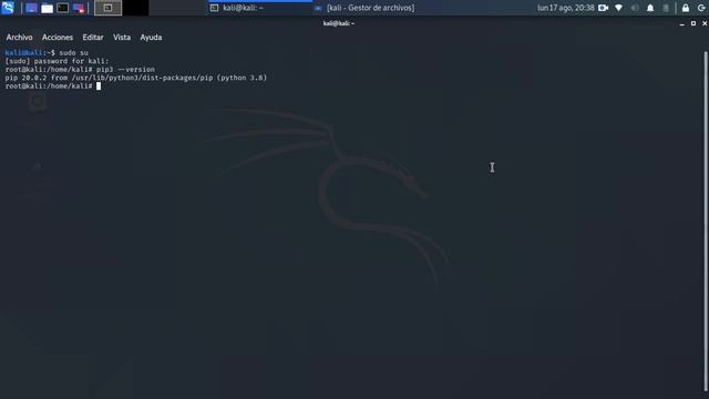 Instalacion de Pip3 para kali linux смотреть онлайн