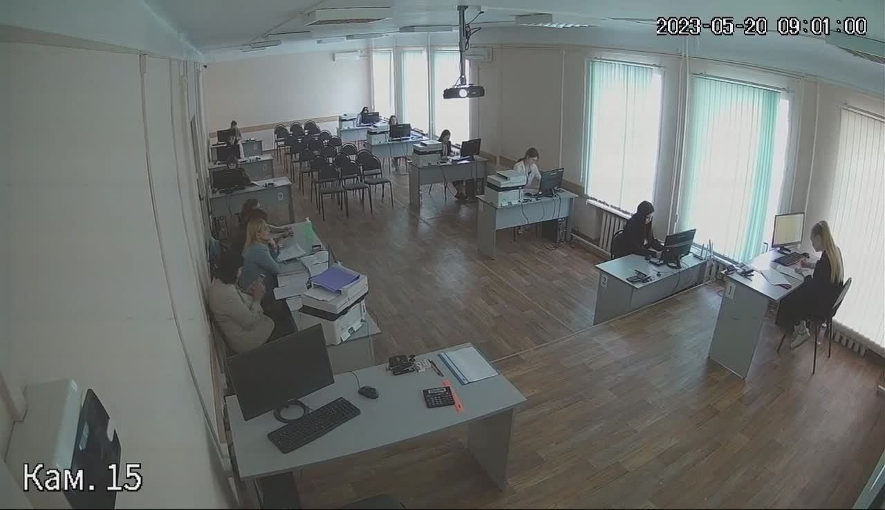 ВФ РЭУ им. Г. В. Плеханова демоэкзамен Коммерция (по отраслям) 20.05.2023