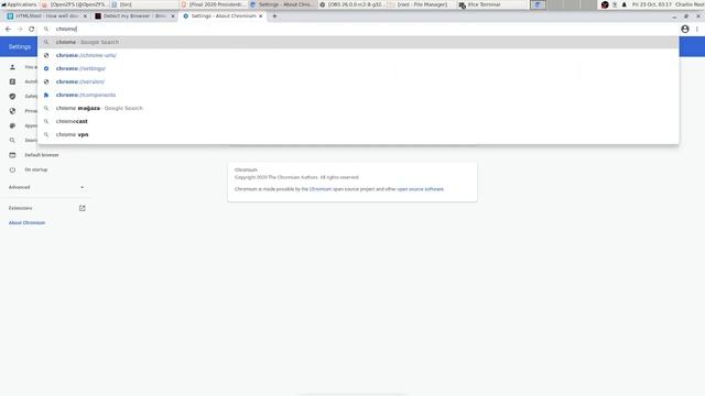 Chromium 88 (Linux version) runs under linuxulator (Centos 7) on FreeBSD 12.1 смотреть онлайн