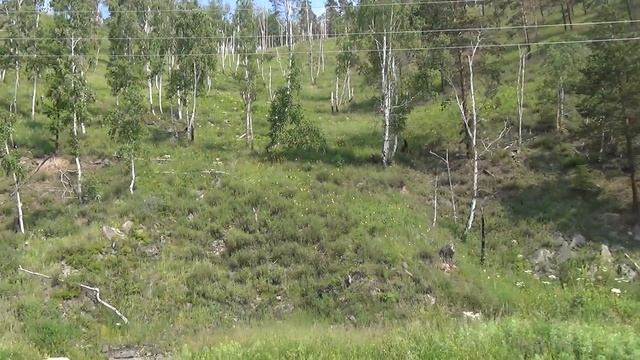 Поход по кругобайкальской железной дороге смотреть онлайн