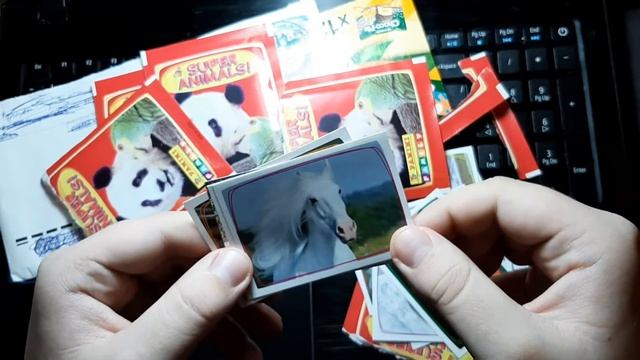 Распаковка и обзор коллекции от PANINI "Мир животных" смотреть онлайн