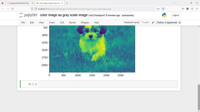 OpenCV Tutorial For Beginners 4: Load Color Image as GrayScale | Python смотреть онлайн