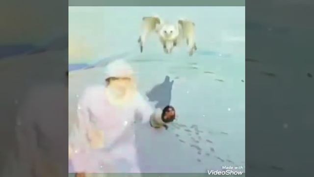 Произнеси ЭТО вслух - Молитва преображения и Любви от сердца смотреть онлайн
