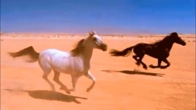 кони смотреть онлайн