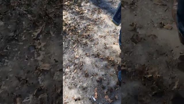 Трассопоисковый комплект Radiodetection Rd2000cps Supercat и Rd2000t1-640