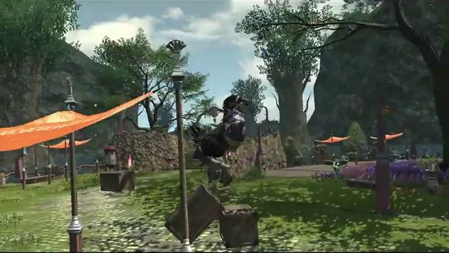 Training Soot Black Chocobo. FF XIV heavensward смотреть онлайн