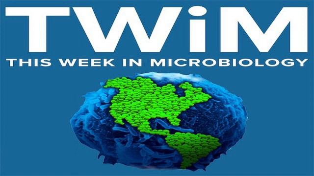 TWiM 160: On the road to virus смотреть онлайн