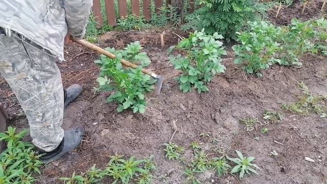 Разрешили приступать. Нагрузка до 50% смотреть онлайн