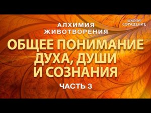 Алхимия Животворения. Общее понимание духа, души и сознания #Гарат #школаСорадение