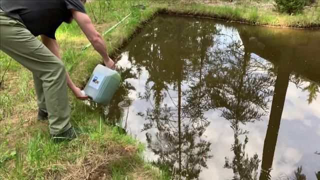 Долив хлореллы в пруд.