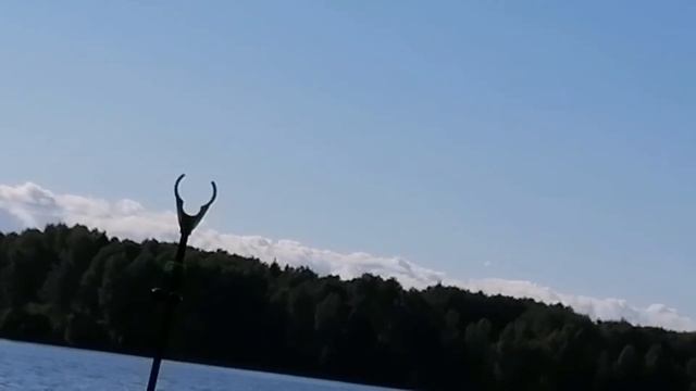 Рыбалка. Поклевки леща на фидер крупным планом.