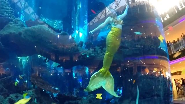 Les Sirènes et le Papillon Magique ! смотреть онлайн