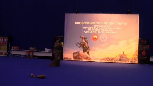 ЧРКФ 12.12.21 Мастер-НТМ Комарова Александра и Энтлебухер зенненхунд ШЕКСБУРГ МАЙБАХ смотреть онлайн
