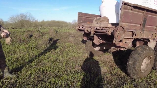 КОРМИМ ПШЕНИЦУ (4 ДЕНЬ) НОВАЯ РЕЗИНА НА РОУ 6 смотреть онлайн