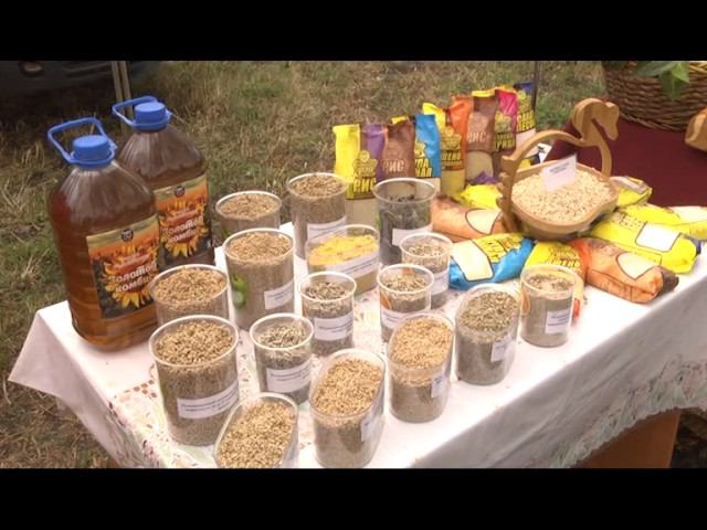 Агрогруппа "Хорошее дело" на Дне поля 2016 смотреть онлайн