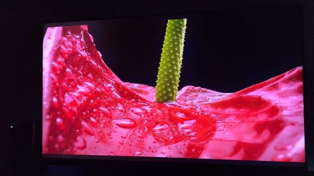 Hisense U8H 4K Mini-LED TV Review - Unbelievable Brightness! смотреть онлайн