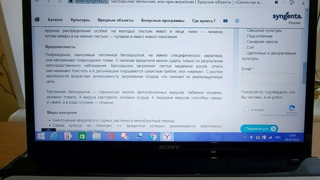 Методы борьбы с кладоспориозом- профи. Рассада томатов из протравленных семян! смотреть онлайн