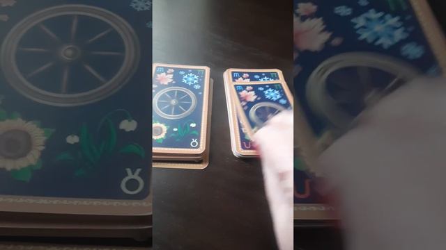 Таро/О женском..о любви../Туз кубков/ Встретите ли вы свою любовь в этом году?/ Интуиция!!❤️ смотреть онлайн