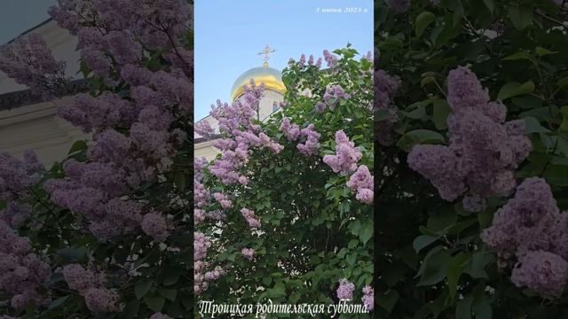 Троицкая родительская суббота. 3 июня 2023 г. смотреть онлайн