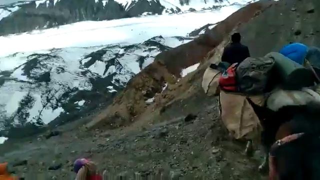 Эфирные Фантазии