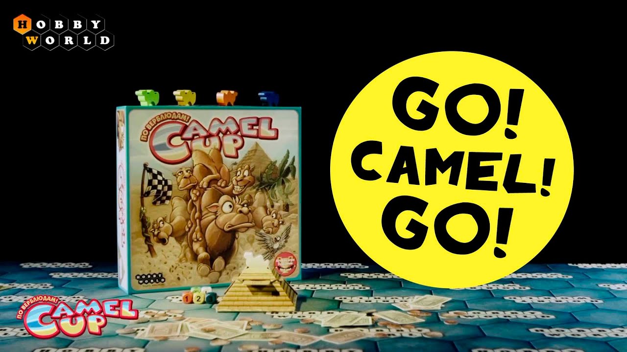 Настольная игра Camel Up — обзор смотреть онлайн