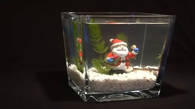 Аквариумные змейки - подарок 2013 ! смотреть онлайн