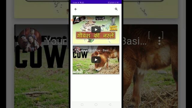 Android Project | Pashu Care Application | With an Amazing android UI смотреть онлайн