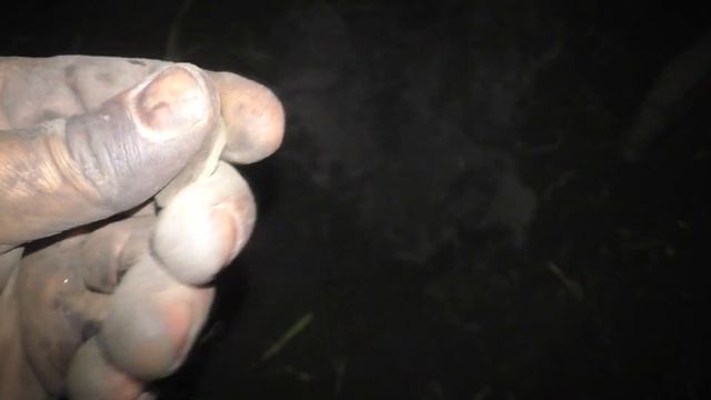 МОНЕТА МЕЧТА ЛЮБОГО!!! ПЯТАК ЕКАТЕРИНЫ I !!!!ОДИН ИЗ ЛУЧШИХ КОПОВ С С GARRETT APEX!!! смотреть онлайн