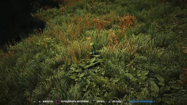 Far Cry® 4 змея смотреть онлайн