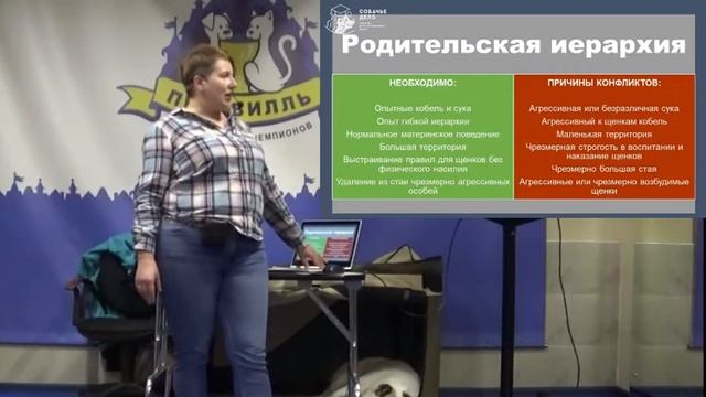 Серия 6 Спорные вопросы страхи, агрессия, доминирование смотреть онлайн