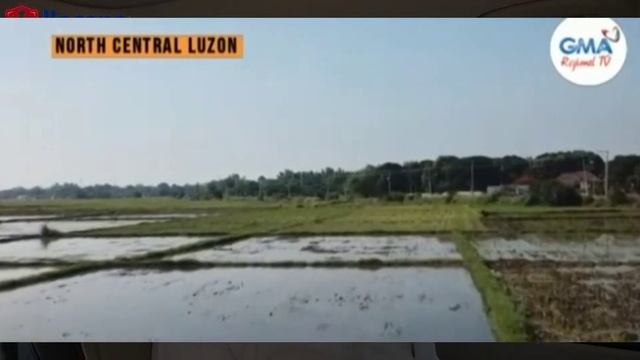 Php 20 rice ni BBM, impossible ba? | Dad ng Bayan Michael Say смотреть онлайн