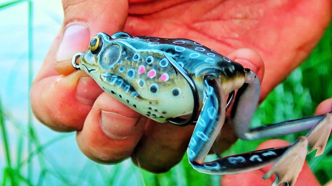 С НОЧЁВКОЙ В РУЧЬЕ ПОЛНОГО РЫБОЙ! А ДУМАЛ КАРАСИ! РЫБАЛКА С НОЧЕВКОЙ В МАШИНЕ ЧАСТЬ 1 смотреть онлайн