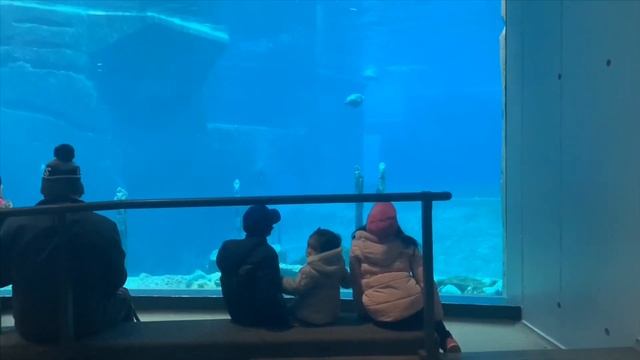 PINAY IN GERMANY | Tiergarten Nürnberg (Nuremberg Zoo) adoseofpaula смотреть онлайн