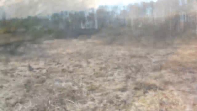 СуперКоп..Поиск клада в древнем поместье Фридрихштайн.Кенигсберг.. смотреть онлайн