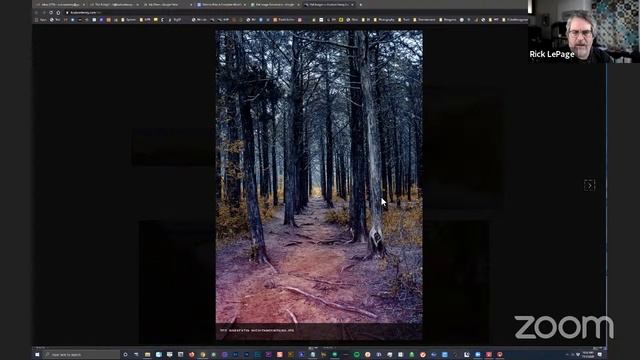 Hudson Henry Photography - Office Hours: Your Fall Photo Submissions