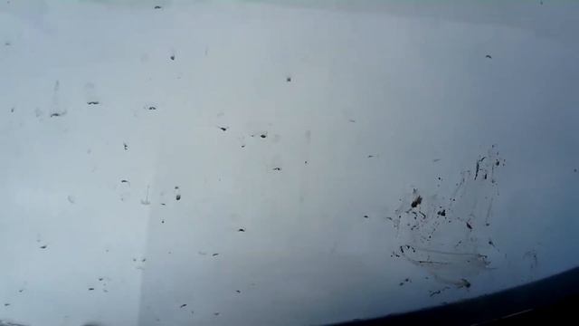 На работе собаки загнали кошку в мотор моей машины смотреть онлайн