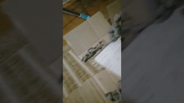 гадзила против конга первая стычка смотреть онлайн