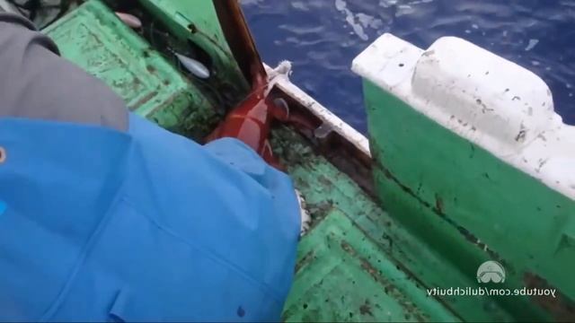 ГЛАЗ КАЛЬМАРА ПРОЦЕСС ЛОВЛИ И РАЗДЕЛКИ смотреть онлайн