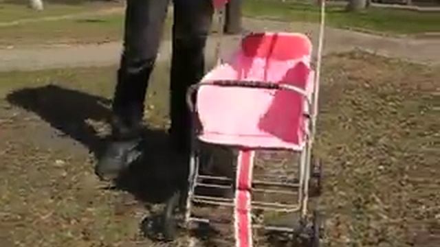 Коляска детская "Колибри" смотреть онлайн