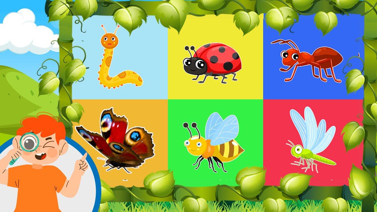 Что мы увидели в траве - Насекомые - Развивающий мультик для детей смотреть онлайн